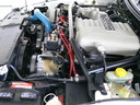 1995cobraR66.JPG