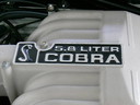 1995cobraR68.JPG