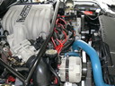 1995cobraR69.JPG