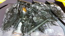 20170429_095203.jpg