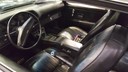 20170429_101319.jpg