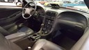 20170429_101424.jpg