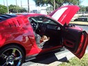 Filename=100B2131.JPG
Filesize=997KiB
Dimensions=2304x1728
Date added=Oct 22, 2012 100B2131.JPG