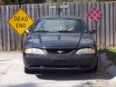 100B8141.JPG