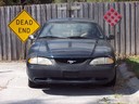 100B8142.JPG
