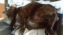 20161212_145846.jpg