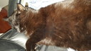 20161212_145853.jpg