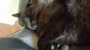 20161212_145859.jpg