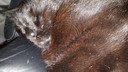 20161212_145937.jpg