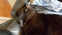 20161212_150023.jpg