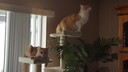 Filename=2018-04-01_11_30_08-2.jpg
Filesize=2521KiB
Dimensions=5312x2988
Date added=Jul 16, 2018 2018-04-01_11_30_08-2.jpg