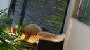 Filename=2018-04-06_18_29_18.jpg
Filesize=2241KiB
Dimensions=5312x2988
Date added=Jul 16, 2018 2018-04-06_18_29_18.jpg