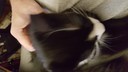 2018-10-06_20_31_59.jpg