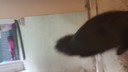 2018-10-08_10_11_00.jpg