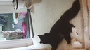 2018-10-08_10_11_49.jpg