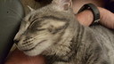 Filename=2019-03-02_21_14_06.jpg
Filesize=3119KiB
Dimensions=5312x2988
Date added=Apr 12, 2020 2019-03-02_21_14_06.jpg