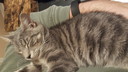 Filename=2019-03-19_21_35_42.jpg
Filesize=3677KiB
Dimensions=5312x2988
Date added=Apr 12, 2020 2019-03-19_21_35_42.jpg
