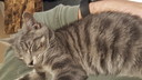 Filename=2019-03-19_21_35_45.jpg
Filesize=4784KiB
Dimensions=5312x2988
Date added=Apr 12, 2020 2019-03-19_21_35_45.jpg