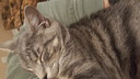 Filename=2019-03-19_21_35_55-1-1.jpg
Filesize=3925KiB
Dimensions=5312x2988
Date added=Apr 12, 2020 2019-03-19_21_35_55-1-1.jpg