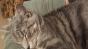 Filename=2019-03-19_21_35_55-1.jpg
Filesize=3709KiB
Dimensions=5312x2988
Date added=Apr 12, 2020 2019-03-19_21_35_55-1.jpg