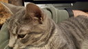 Filename=2019-03-19_21_36_10-1-2.jpg
Filesize=3313KiB
Dimensions=5312x2988
Date added=Apr 12, 2020 2019-03-19_21_36_10-1-2.jpg