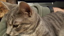 Filename=2019-03-19_21_36_10.jpg
Filesize=3575KiB
Dimensions=5312x2988
Date added=Apr 12, 2020 2019-03-19_21_36_10.jpg