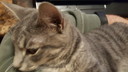 Filename=2019-03-19_21_36_11.jpg
Filesize=3212KiB
Dimensions=5312x2988
Date added=Apr 12, 2020 2019-03-19_21_36_11.jpg
