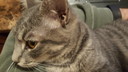 Filename=2019-03-19_21_36_14.jpg
Filesize=4647KiB
Dimensions=5312x2988
Date added=Apr 12, 2020 2019-03-19_21_36_14.jpg