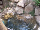 Filename=100_1296.JPG
Filesize=1458KiB
Dimensions=2304x1728
Date added=Jan 02, 2013 100_1296.JPG