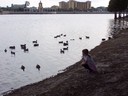 Filename=100B9140.JPG
Filesize=868KiB
Dimensions=2304x1728
Date added=Oct 23, 2012 100B9140.JPG