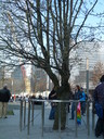 Filename=P1060780.JPG
Filesize=4811KiB
Dimensions=3240x4320
Date added=Oct 23, 2012 P1060780.JPG