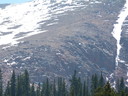Filename=P1040588.JPG
Filesize=5873KiB
Dimensions=4320x3240
Date added=Jul 09, 2013 P1040588.JPG