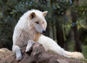 Filename=095.JPG
Filesize=22KiB
Dimensions=150x110
Date added=Oct 23, 2012 095.JPG