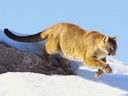 Filename=18-sept-2012-31.jpg
Filesize=187KiB
Dimensions=1280x960
Date added=Jul 17, 2018 18-sept-2012-31.jpg