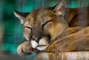 Filename=GettyImages-909965886.jpg
Filesize=22725KiB
Dimensions=5193x3466
Date added=Jul 17, 2018 GettyImages-909965886.jpg