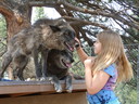 Filename=P1050034.JPG
Filesize=5902KiB
Dimensions=4320x3240
Date added=Jul 17, 2018 P1050034.JPG
