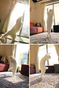 Filename=cats-worshiping-sun-38-593661ccbfd28__605.jpg
Filesize=134KiB
Dimensions=605x901
Date added=Jul 17, 2018 cats-worshiping-sun-38-593661ccbfd28__605.jpg