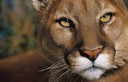Filename=images.jpg
Filesize=8KiB
Dimensions=280x180
Date added=Jul 17, 2018 images.jpg