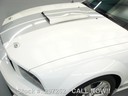 007_0007.jpg