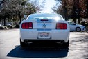 2007-Ford-Mustang-Shelby_02062022-6-82867-scaled_28129_result.jpg