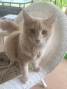 Filename=mr_tiggs.jpg
Filesize=255KiB
Dimensions=1537x2048
Date added=Jul 17, 2018 mr_tiggs.jpg
